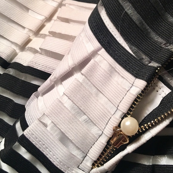 NWT Elegant Stripe Sheer Skirt - Picture 1 of 7
